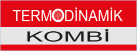 Termodinamik
